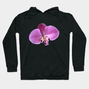 Pink Orchid Flower Closeup Hoodie